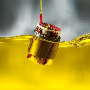 Impregnating the Motor dipping in Resin ngâm tẩm động cơ
